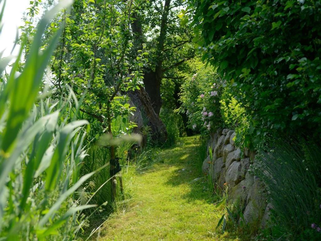 Wildrose Ferienhaus Boltenhagen  Exteriér fotografie