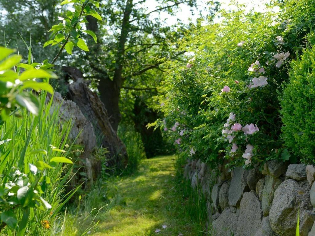 Wildrose Ferienhaus Boltenhagen  Exteriér fotografie